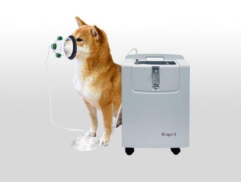 Concentrador de oxígeno veterinario 5L