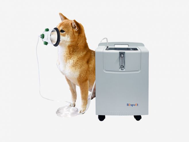 Concentrador de oxígeno veterinario 5L