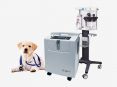 Concentrador de oxígeno veterinario 5L