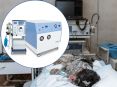 Concentrador de oxígeno de alta presión para uso veterinario
