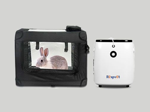 Concentrador de oxígeno veterinario: terapia de oxígeno para mascotas