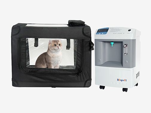 UCI para mascotas: Entendiendo los cuidados intensivos veterinarios